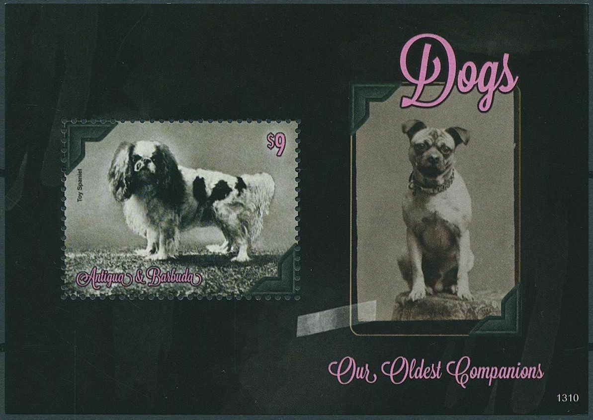 Antigua & Barbuda 2013 MNH Dogs Stamps Our Oldest Companions Toy Spaniel 1v S/S