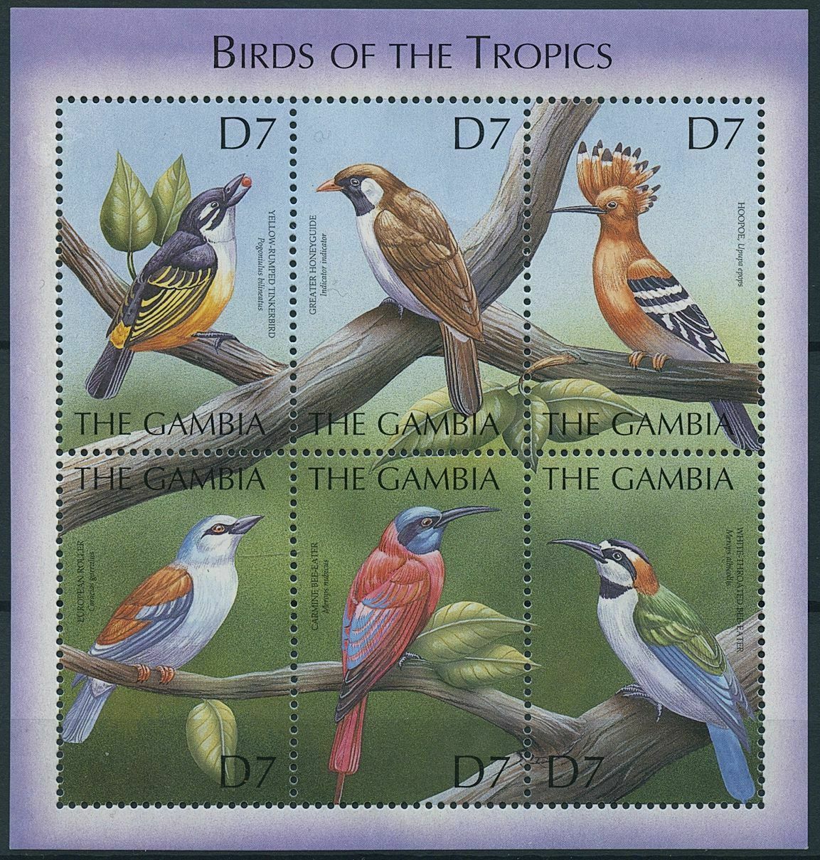 Gambia 2000 MNH Birds on Stamps Hoopoe Bee-Eaters Rollers Tinkerbird 6v M/S