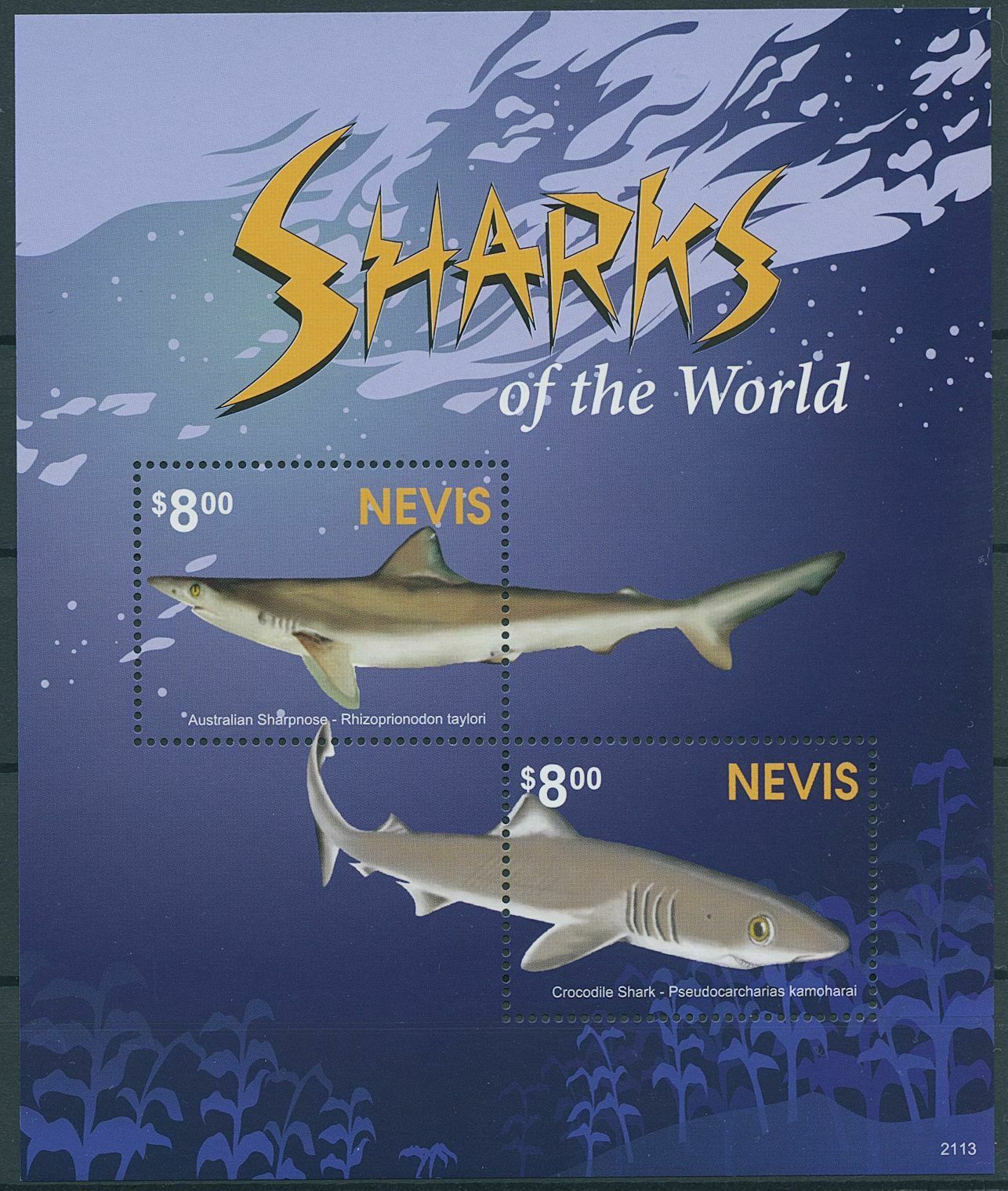 Nevis 2021 MNH Marine Animals Stamps Sharks of World Australian Sharpnose 2v S/S