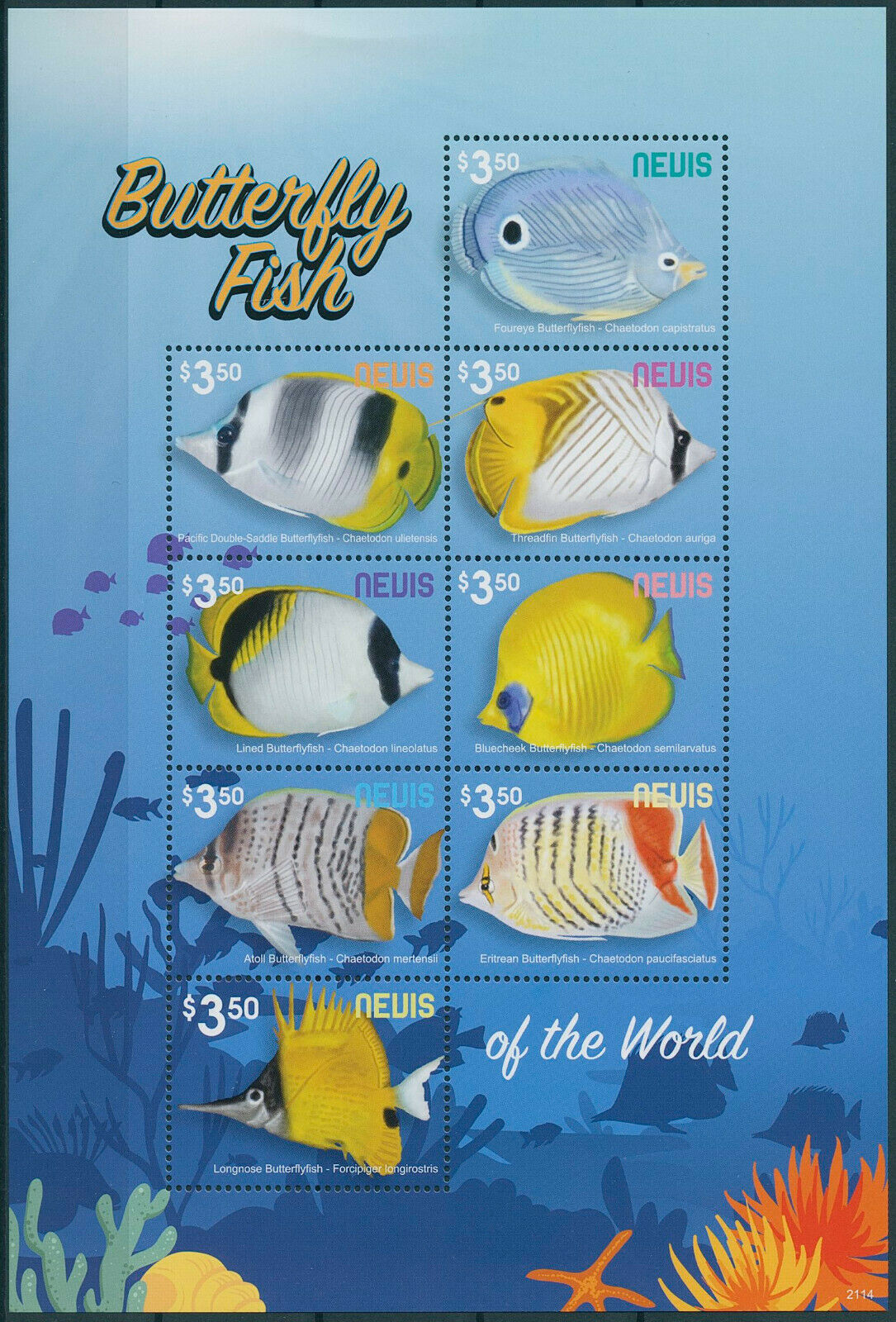 Nevis 2021 MNH Fish Stamps Butterflyfish of World Fishes 8v M/S