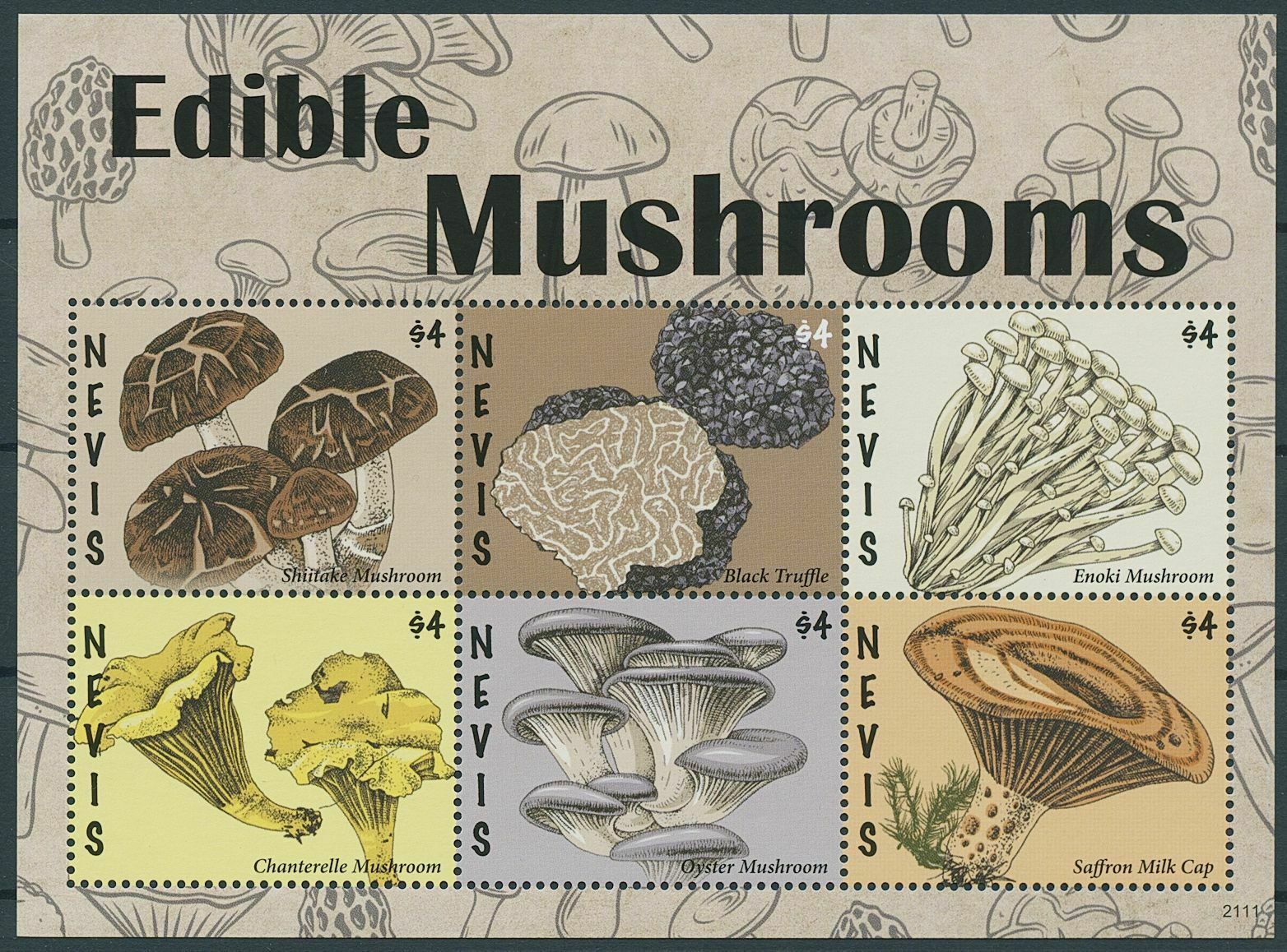 Nevis 2021 MNH Edible Mushrooms Stamps Chanterelle Mushroom Fungi Nature 6v M/S
