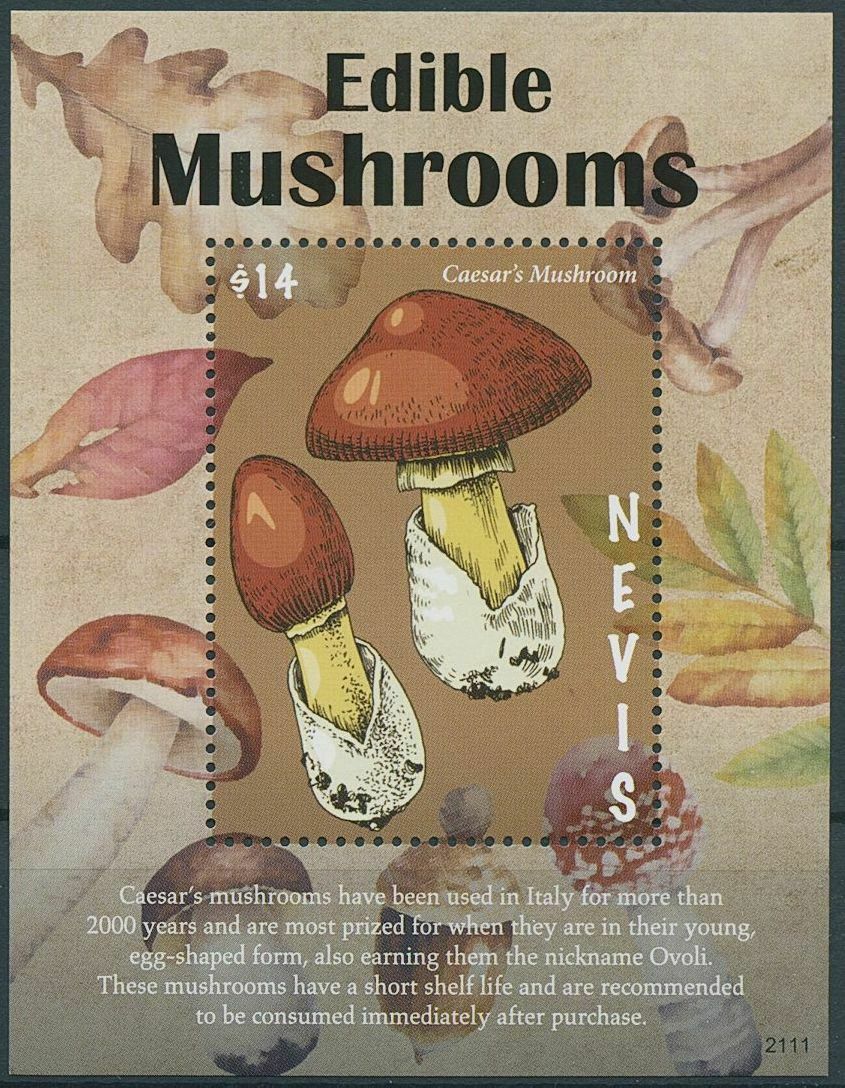 Nevis 2021 MNH Edible Mushrooms Stamps Caesar's Mushroom Fungi Nature 1v S/S