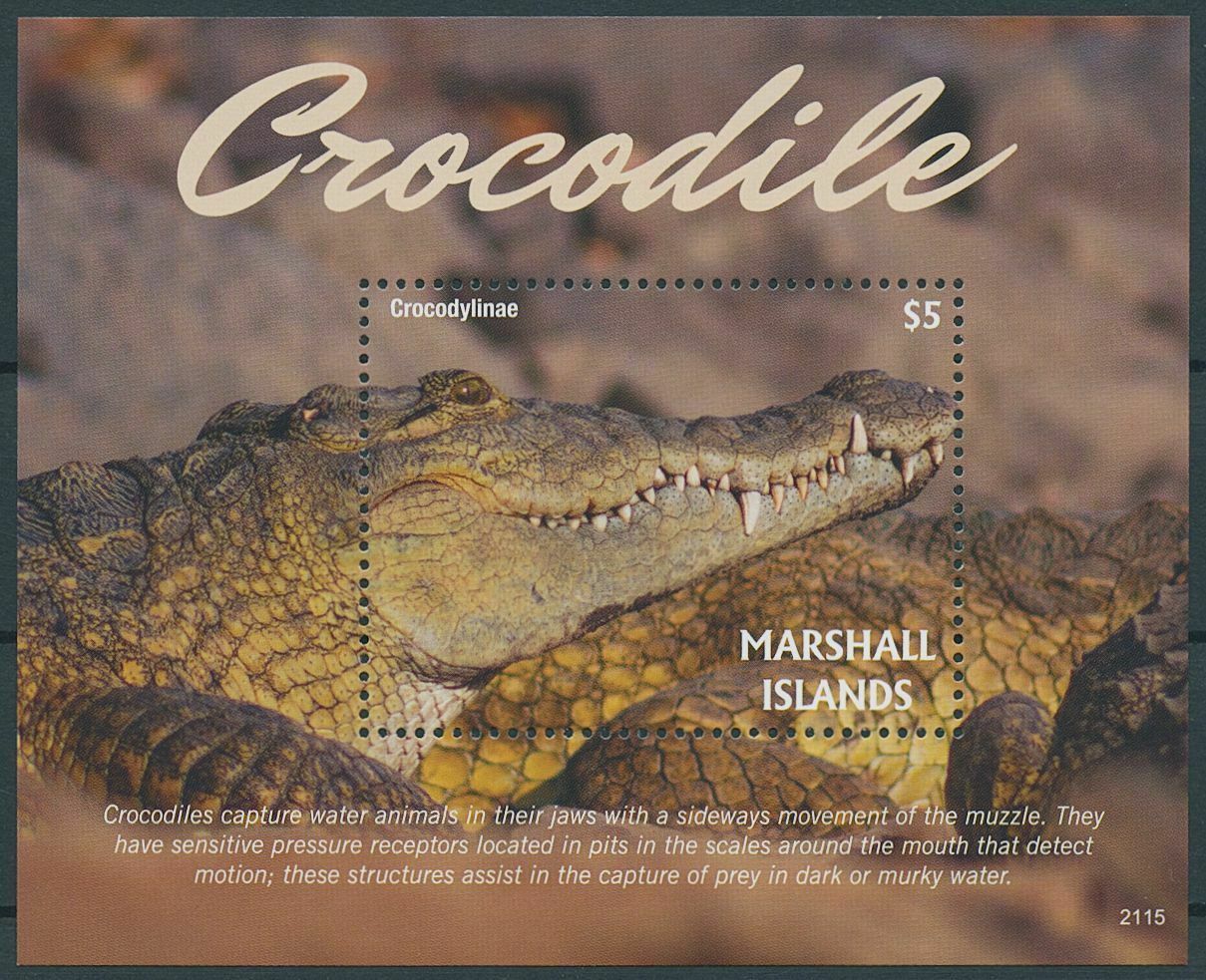 Marshall Islands 2021 MNH Reptiles Stamps Crocodiles Crocodylinae 1v S/S