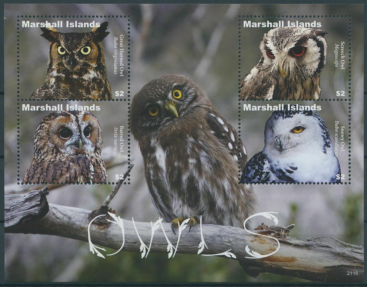 Marshall Islands 2021 MNH Birds of Prey on Stamps Owls Screech Snowy Owl 4v M/S