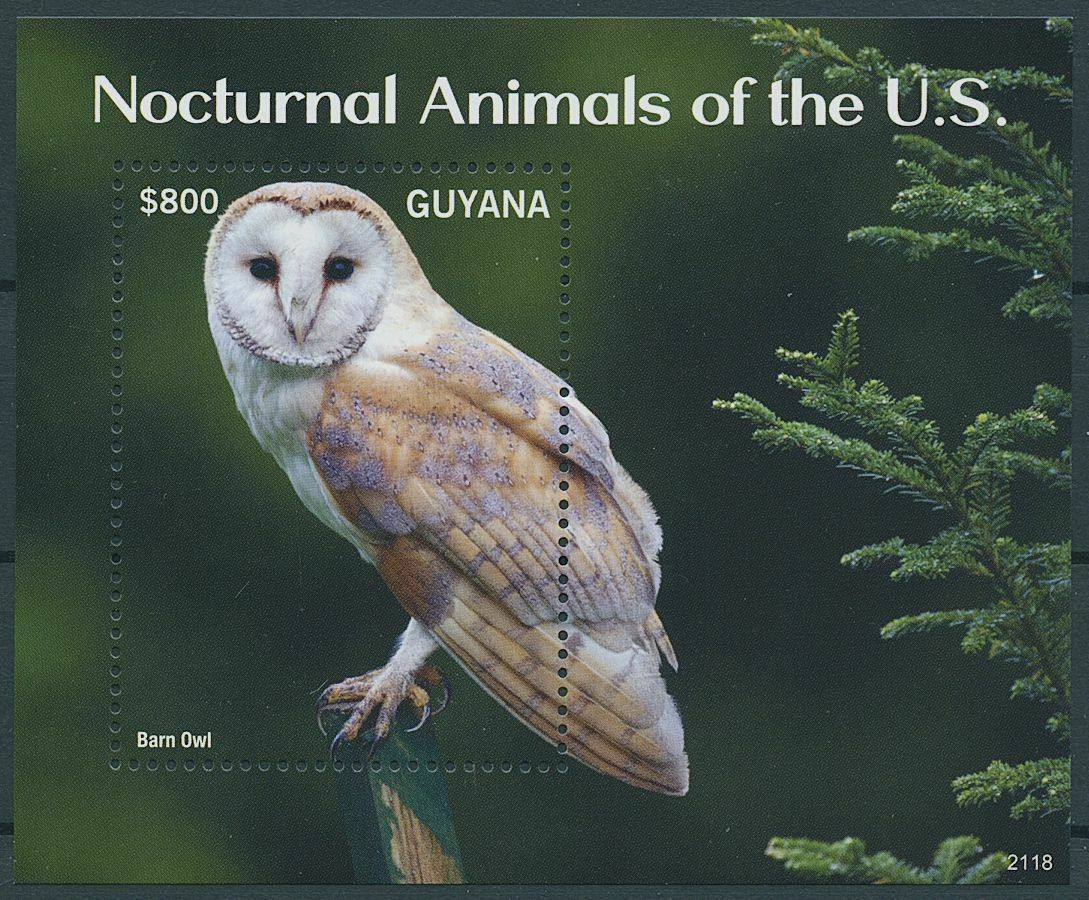 Guyana 2021 MNH Birds on Stamps Nocturnal Animals of US Barn Owl Owls 1v S/S