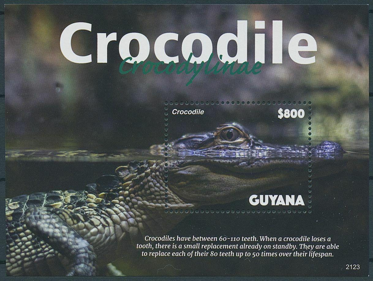 Guyana 2021 MNH Reptiles Stamps Crocodiles Crocodylinae Crocodile 1v S/S