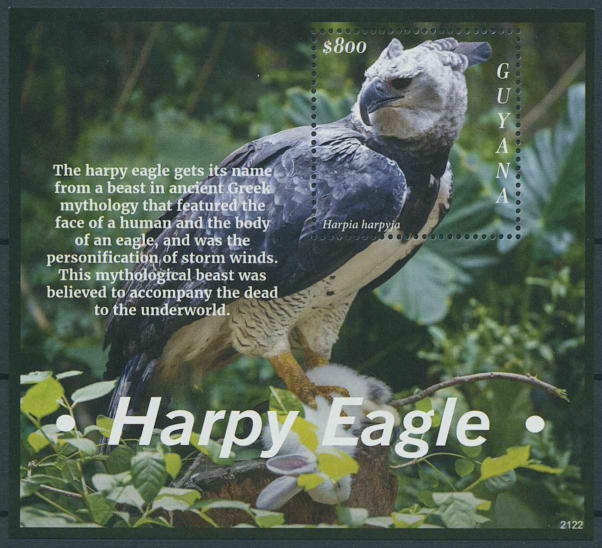 Guyana 2021 MNH Birds of Prey on Stamps Harpy Eagle Eagles Raptors 1v S/S
