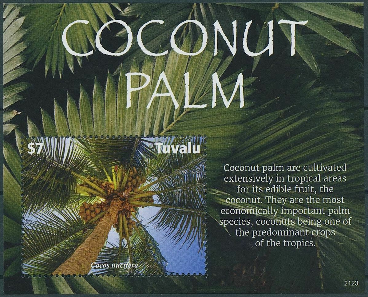 Tuvalu 2021 MNH Nature Stamps Coconut Palm Trees Coconuts 1v S/S