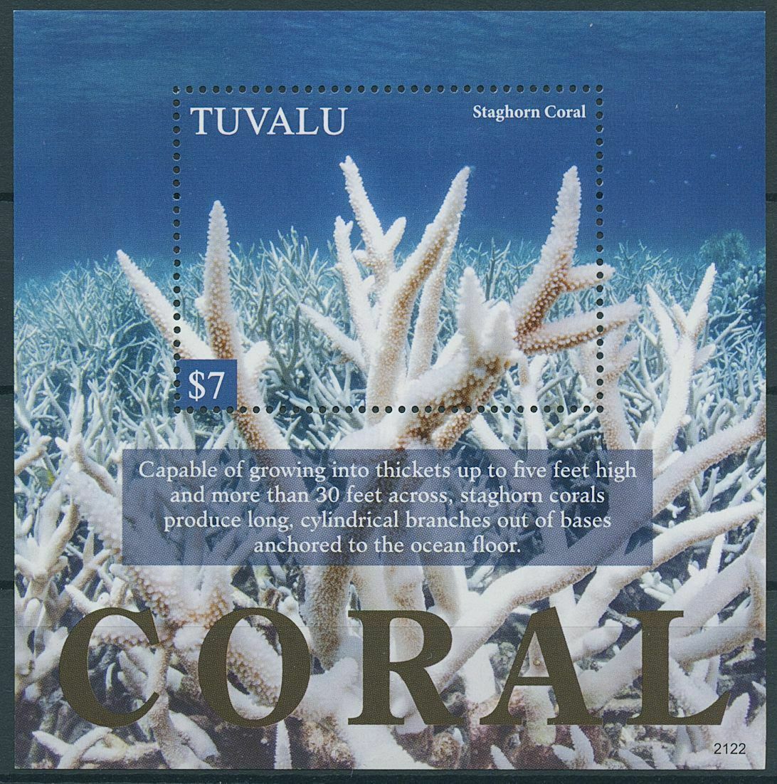 Tuvalu 2021 MNH Marine Animals Stamps Corals Staghorn Coral 1v S/S