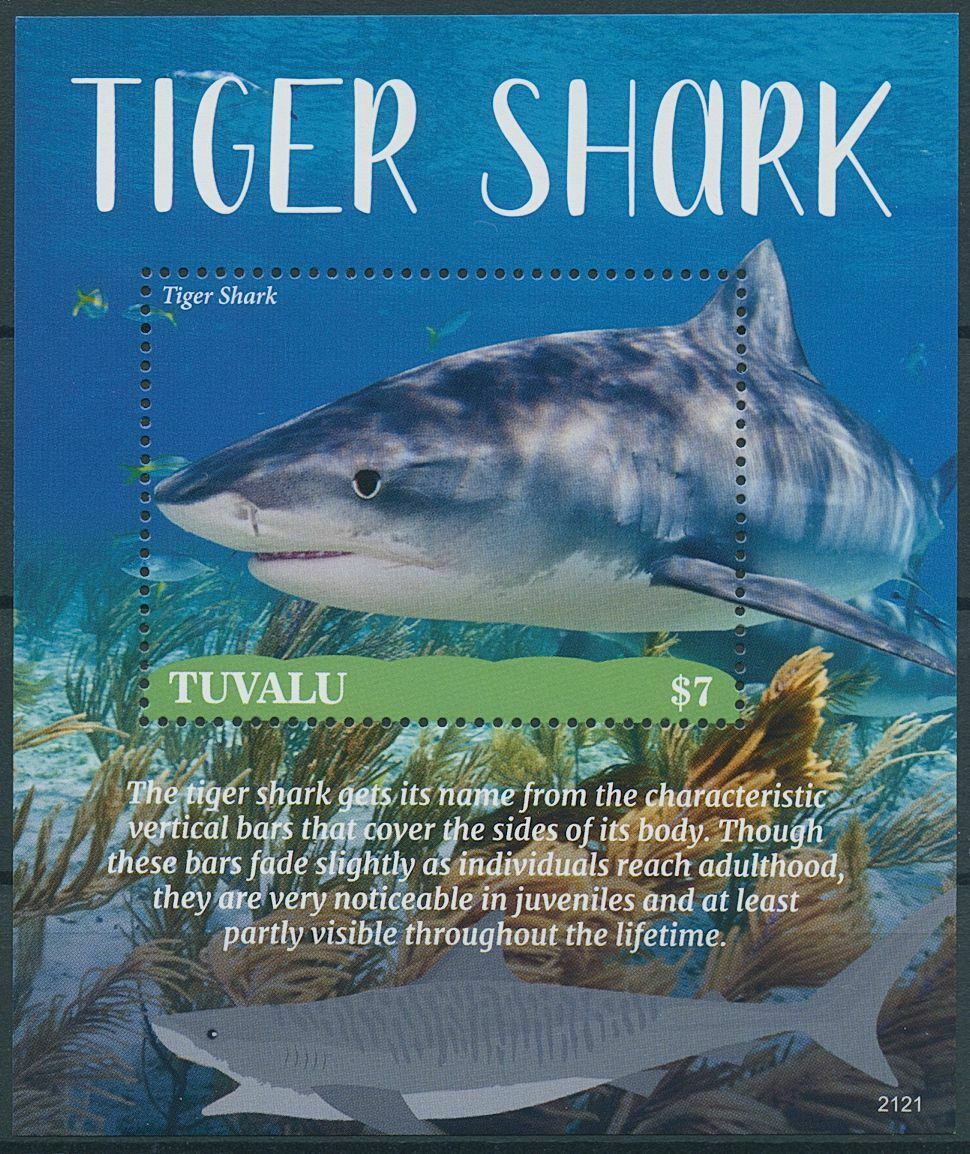 Tuvalu 2021 MNH Marine Animals Stamps Tiger Shark Sharks 1v S/S