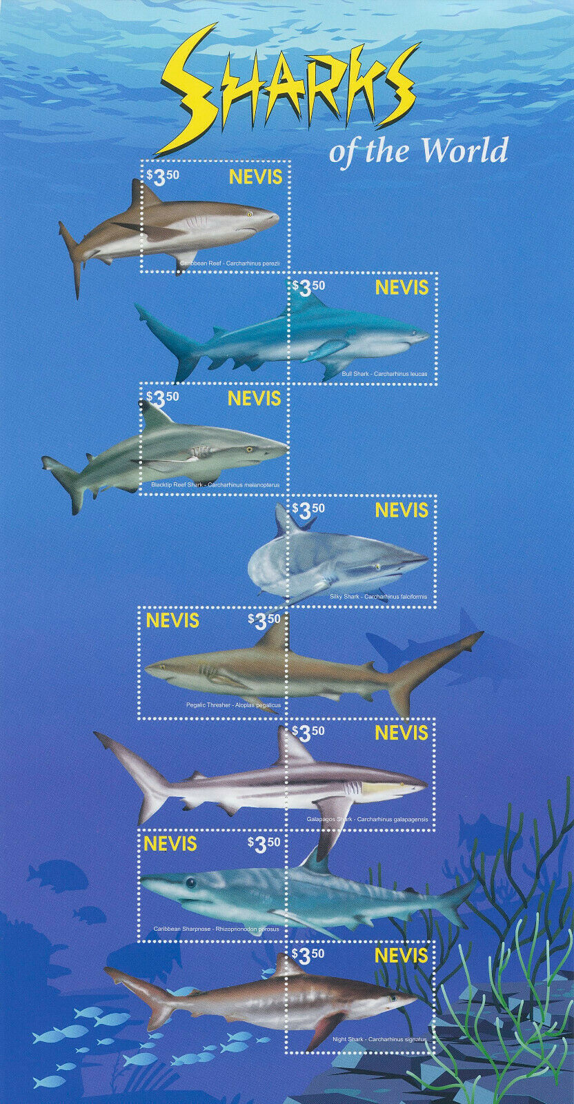 Nevis 2021 MNH Marine Animals Stamps Sharks of World Blacktip Reef Shark 8v M/S
