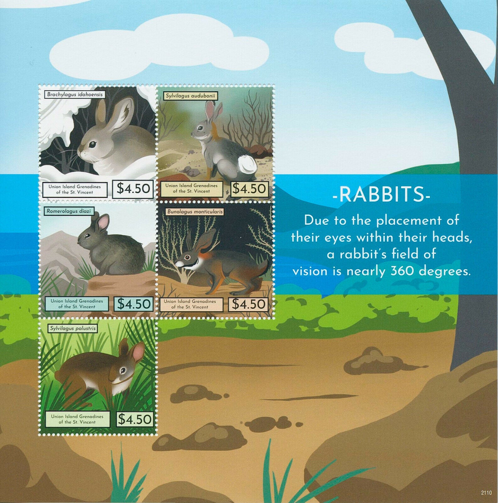 Union Island Gren St Vincent 2021 MNH Wild Animals Stamps Rabbits Rabbit 5v M/S