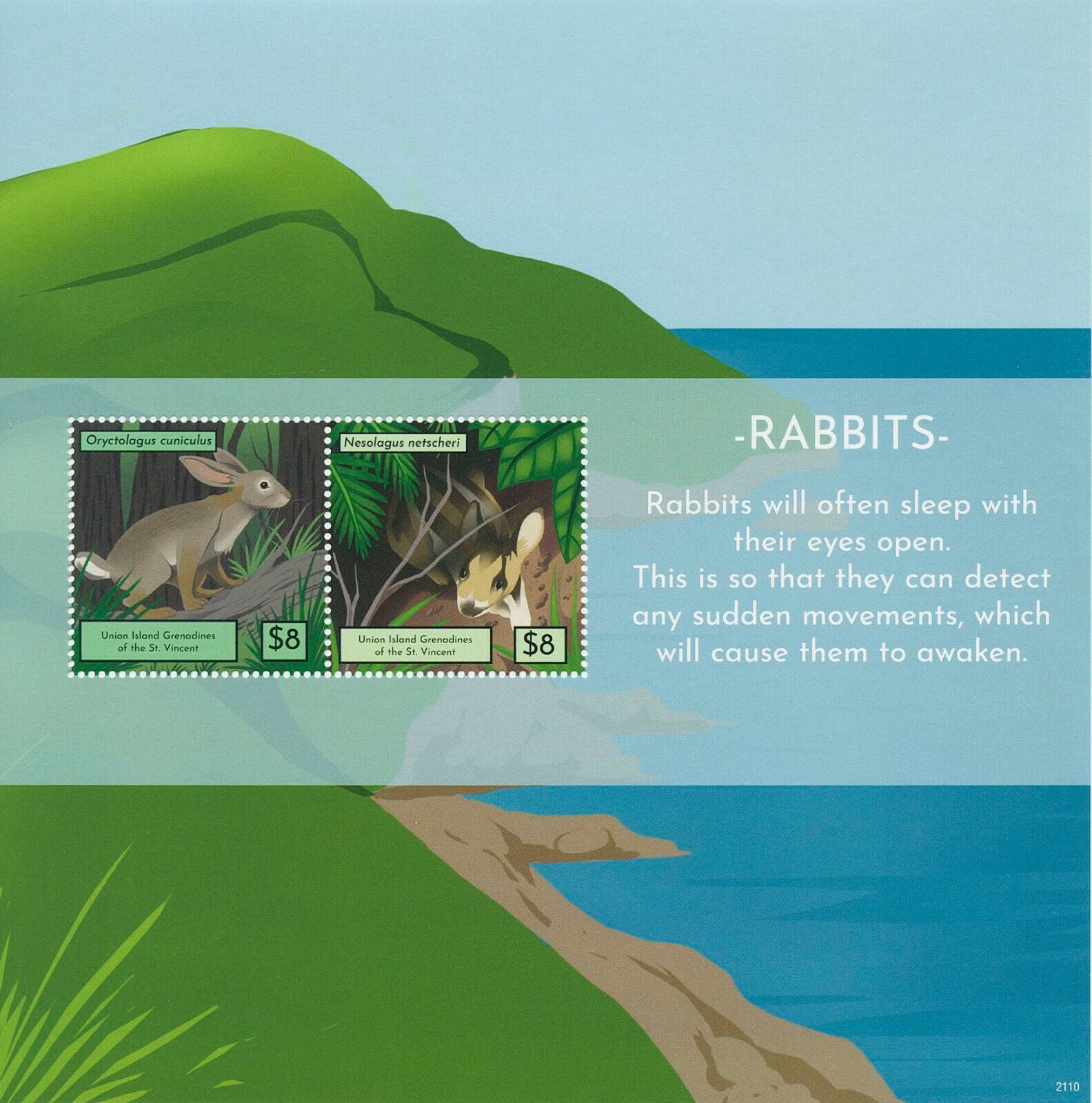 Union Island Gren St Vincent 2021 MNH Wild Animals Stamps Rabbits Rabbit 2v S/S