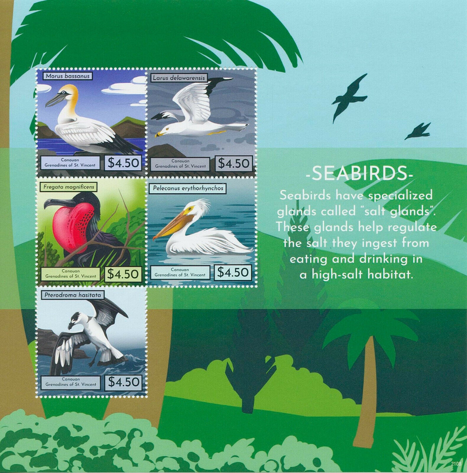 Canouan Gren St Vincent 2021 MNH Birds on Stamps Seabirds Pelicans Gulls 5v M/S