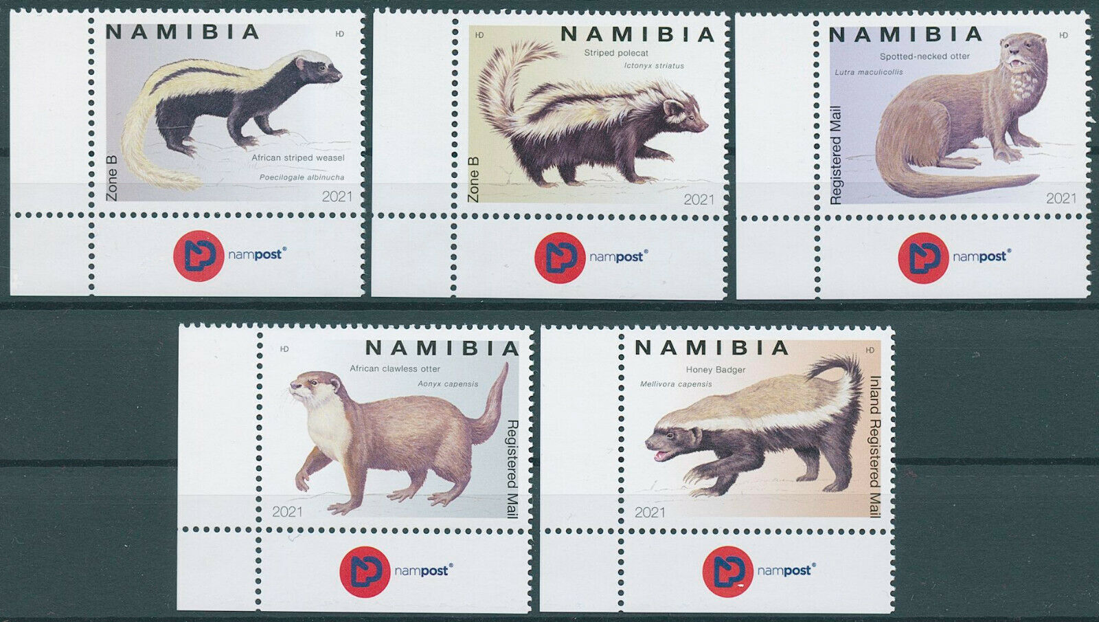 Namibia 2021 MNH Wild Animals Stamps Mustelids Weasels Badgers Otters 5v Set B