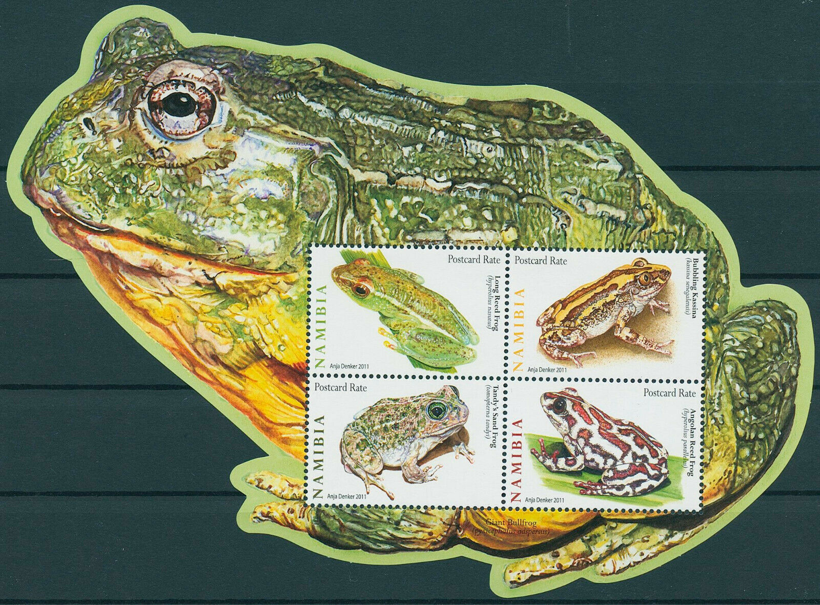 Namibia 2011 MNH Amphibians Stamps Frogs Long Reed Frog Bubbling Kassina 4v M/S