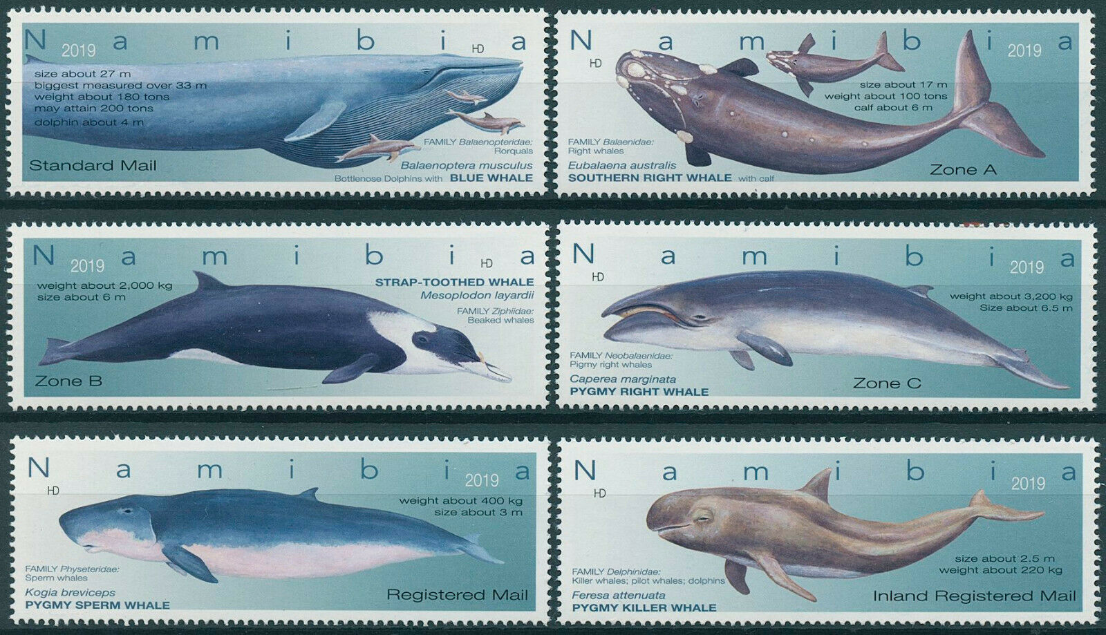 Namibia 2019 MNH Marine Animals Whales Blue Whale Pygmy Sperm Whale 6v Set