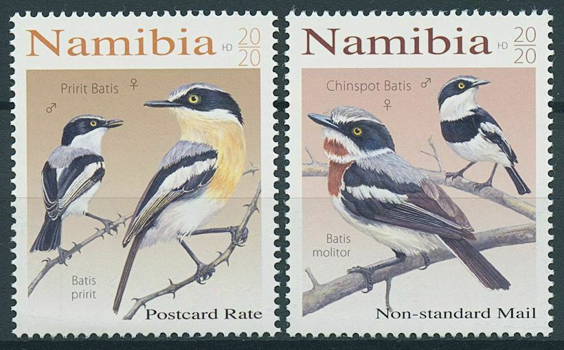 Namibia 2020 MNH Birds on Stamps Batises Pririt Chinspot Batis 2v Set C