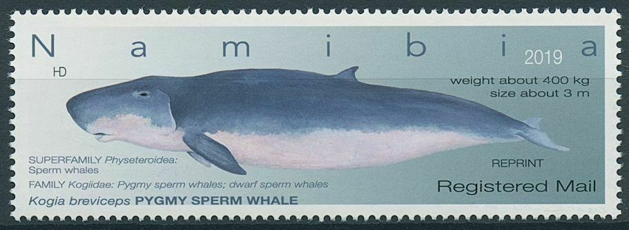 Namibia 2019 MNH Marine Animals Whales Pygmy Sperm Whale R/P 1v Set
