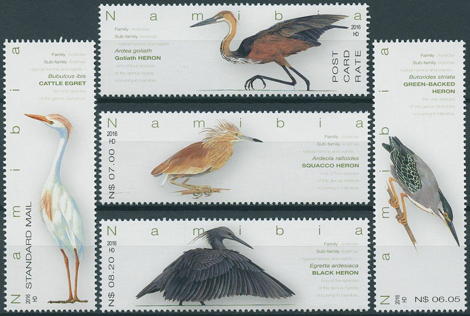 Namibia 2016 MNH Birds on Stamps Herons Egrets Cattle Egret Squacco Heron 5v Set