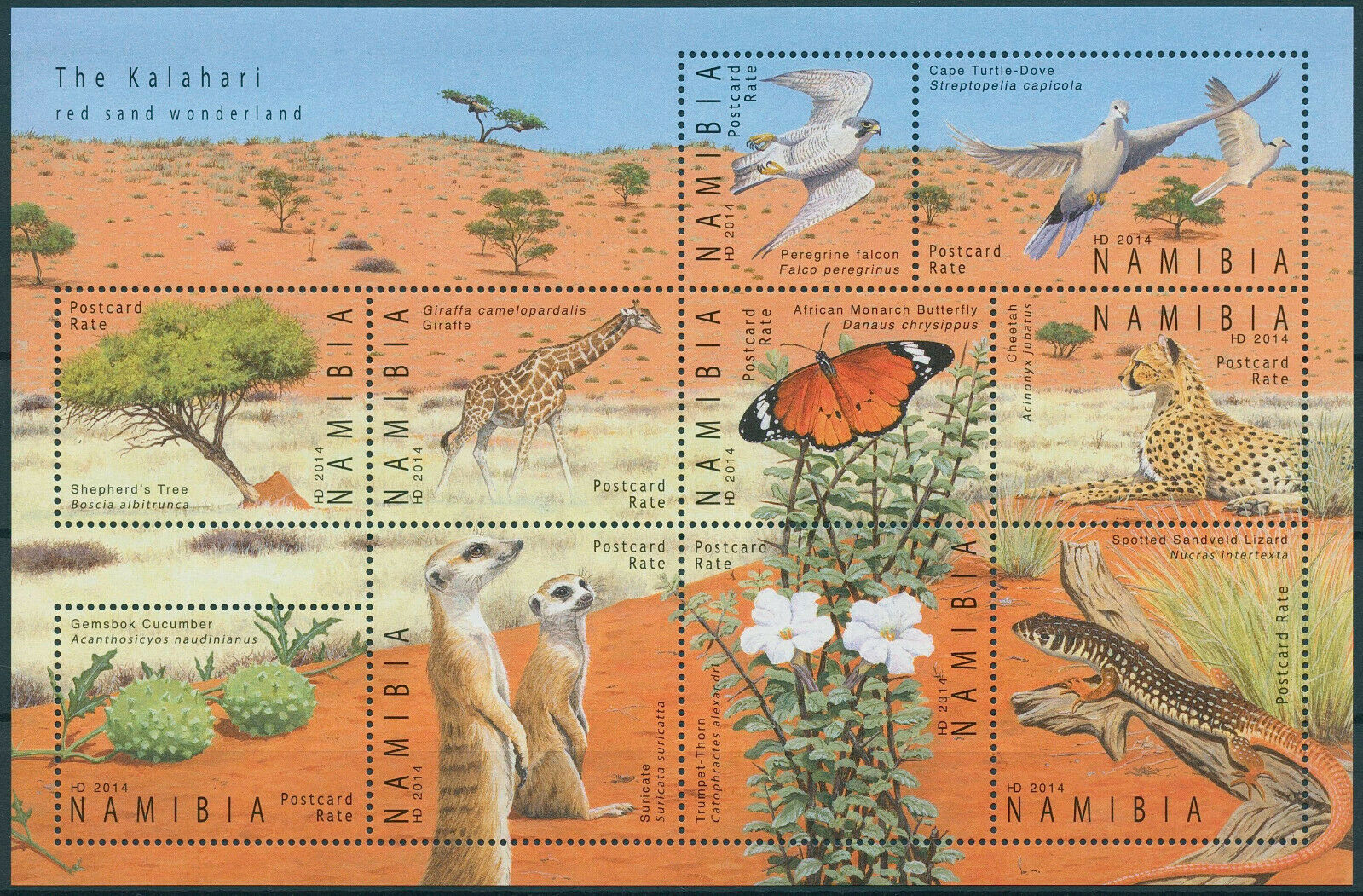Namibia 2014 MNH Wild Animals Stamps Kalahari Deserts Birds Butterflies 10v M/S