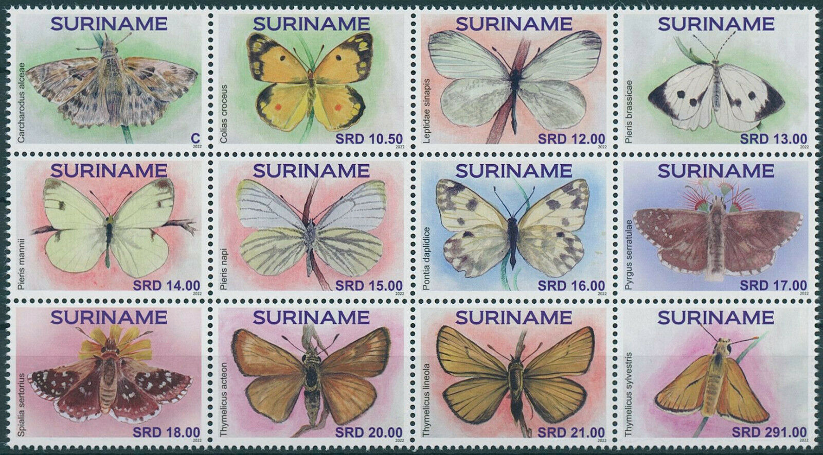 Suriname 2022 MNH Butterflies Stamps Clouded Yellow Butterfly 12v Block
