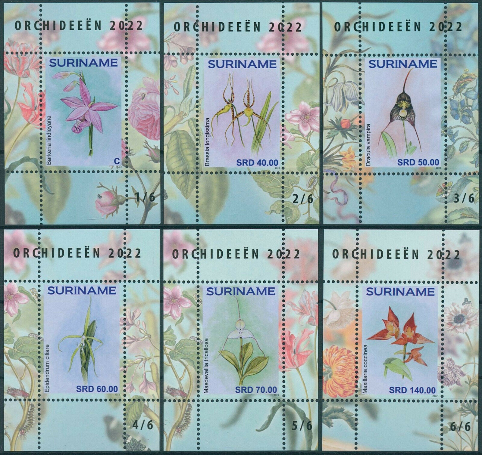 Suriname 2022 MNH Flowers Stamps Orchids Epidendrum Orchid Flora 6x 1v M/S