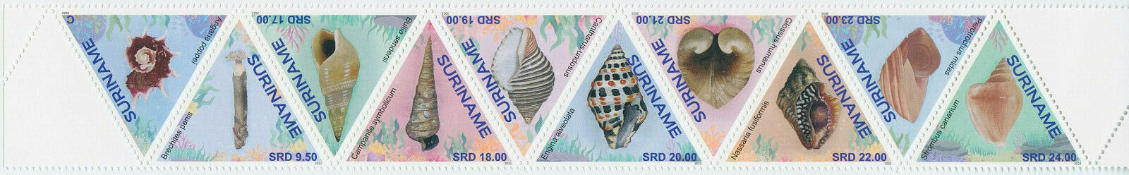 Suriname 2022 MNH Seashells Stamps Sea Shells Strombus Nassaria 10v Strip