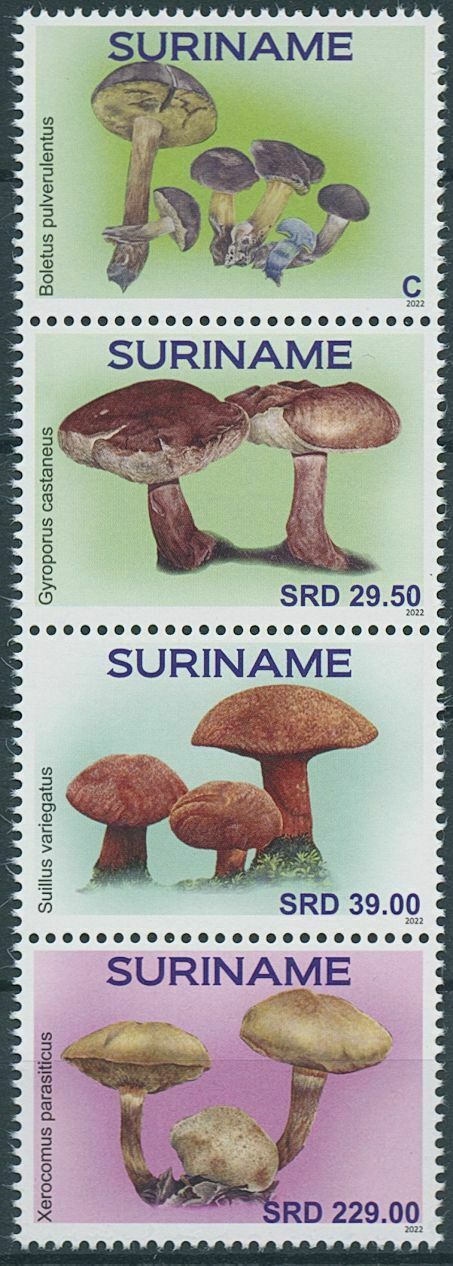 Suriname 2022 MNH Mushrooms Stamps Fungi Boletus Mushroom 4v Strip