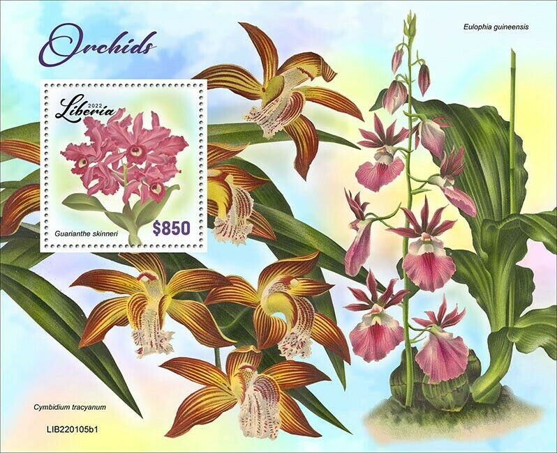 Liberia 2022 MNH Flowers Stamps Orchids Guarianthe Orchid Flora Nature 1v S/S I