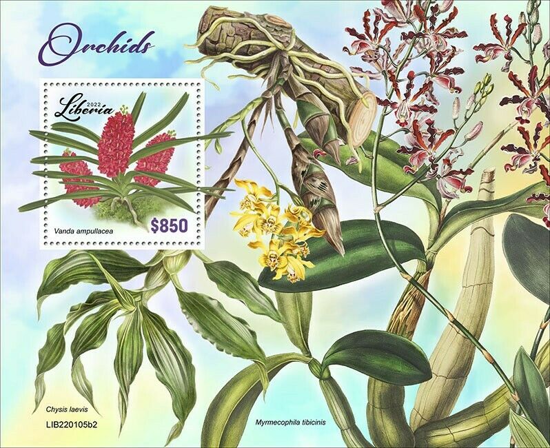 Liberia 2022 MNH Flowers Stamps Orchids Vanda Orchid Flora Nature 1v S/S II