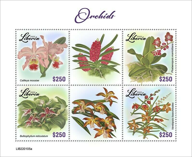 Liberia 2022 MNH Flowers Stamps Orchids Cattleya Orchid Flora Nature 4v M/S