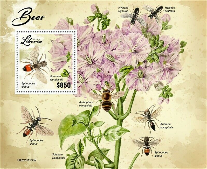 Liberia 2022 MNH Bees Stamps Dark-Winged Blood Bee Insects 1v S/S II