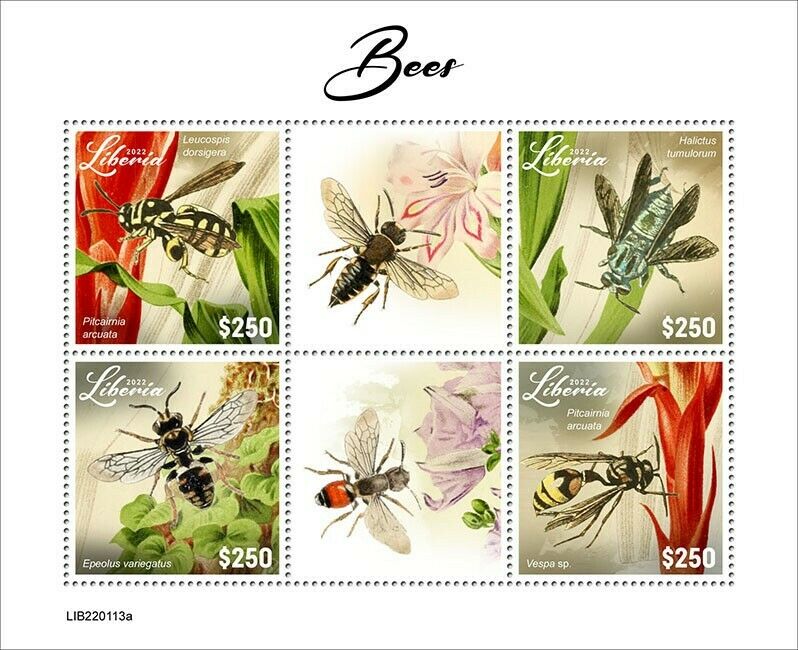 Liberia 2022 MNH Bees Stamps Bronze Furrow Bee Insects Wasps 4v M/S