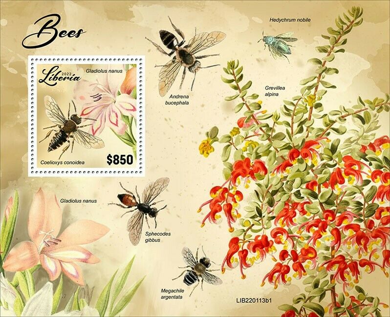 Liberia 2022 MNH Bees Stamps Large Sharp-Tail Bee Insects 1v S/S I