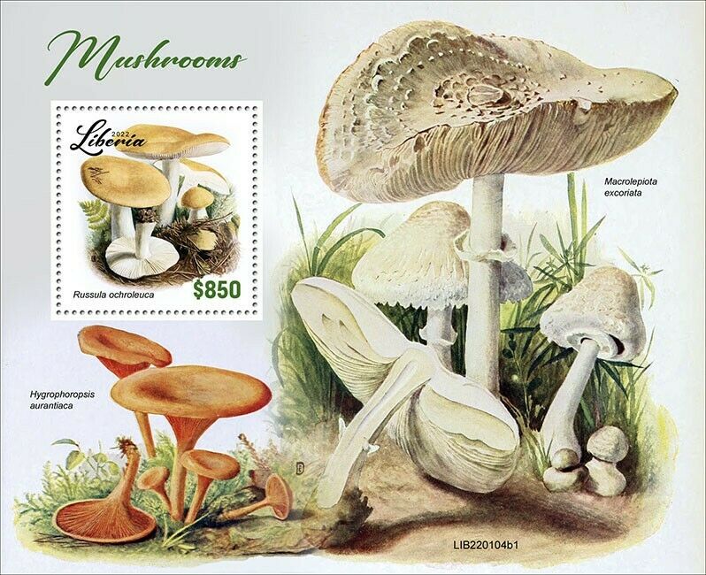 Liberia 2022 MNH Mushrooms Stamps Fungi Russula Mushroom Nature 1v S/S I