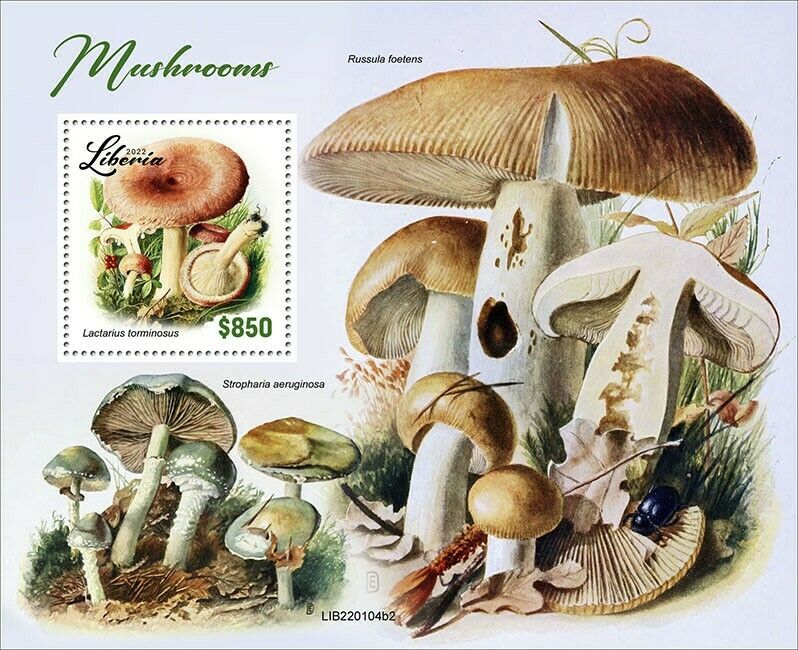 Liberia 2022 MNH Mushrooms Stamps Fungi Lactarius Mushroom Nature 1v S/S II