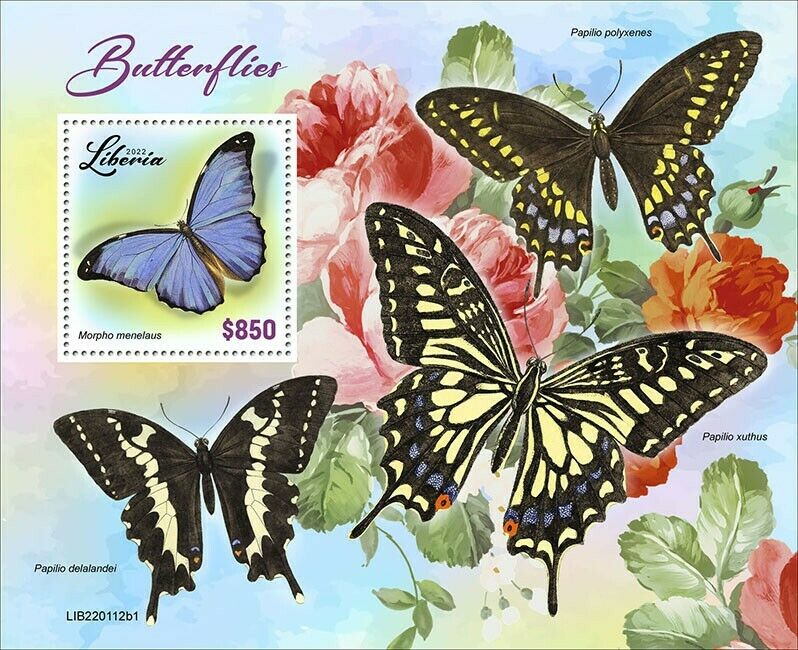 Liberia 2022 MNH Butterflies Stamps Blue Morpho Swallowtail Butterfly 1v S/S I