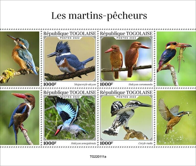 Togo 2022 MNH Birds on Stamps Kingfishers Belted Kingfisher 4v M/S