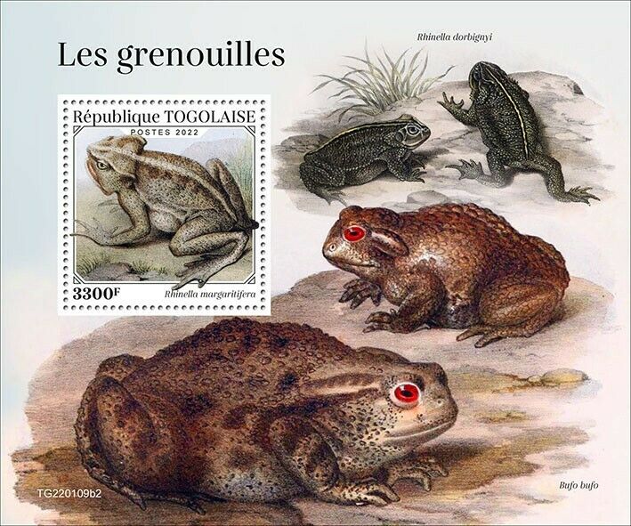 Togo 2022 MNH Amphibians Stamps Frogs Toads South American Common Toad 1v S/S II