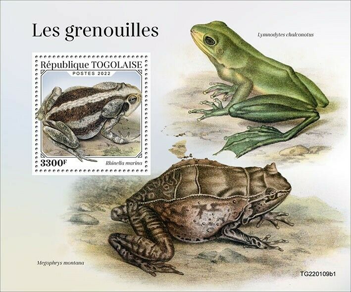 Togo 2022 MNH Amphibians Stamps Frogs Toads Cane Toad 1v S/S I