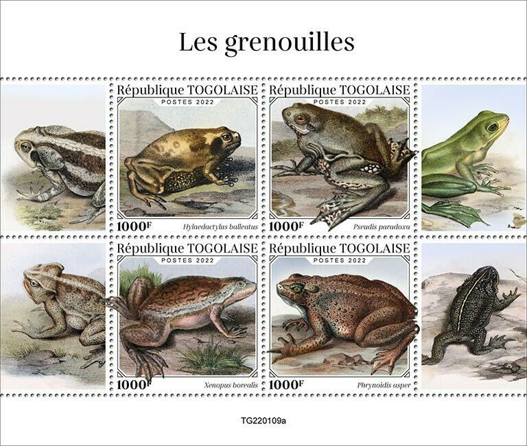 Togo 2022 MNH Amphibians Stamps Frogs Marsabit Clawed Paradoxical Frog 4v M/S