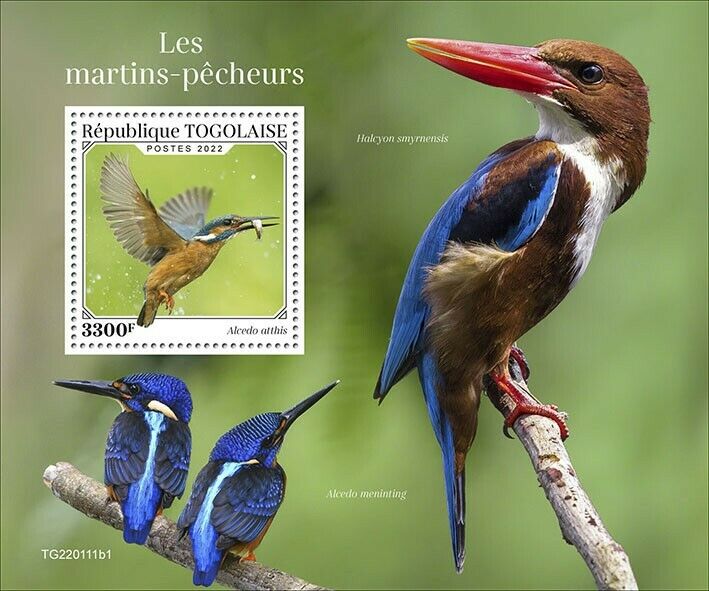 Togo 2022 MNH Birds on Stamps Kingfishers Common Kingfisher 1v S/S I