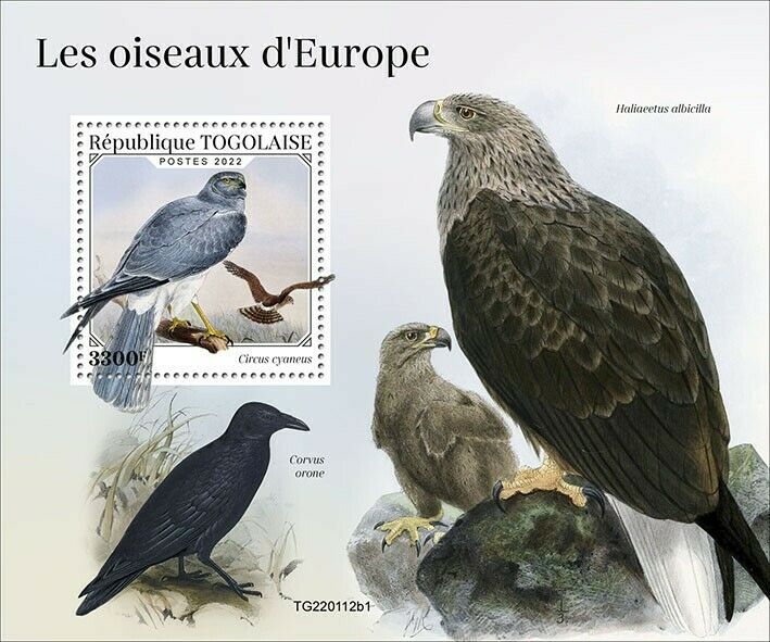Togo 2022 MNH Birds of Europe on Stamps Hen Harriers Raptors 1v S/S I