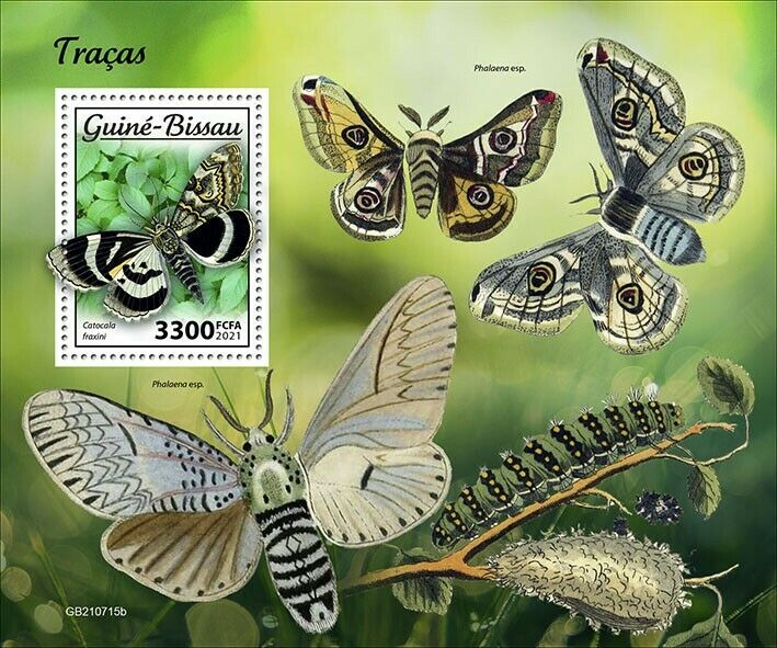 Guinea-Bissau 2021 MNH Butterflies Stamps Moths Blue Underwing Moth 1v S/S
