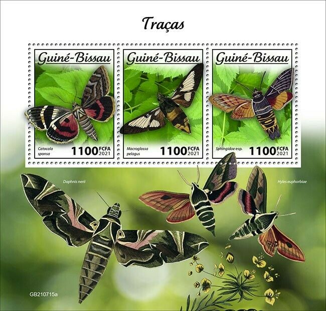 Guinea-Bissau 2021 MNH Butterflies Stamps Moths Dark Crimson Underwing 3v M/S