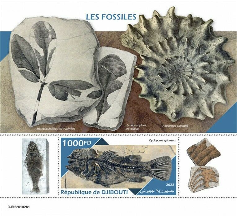 Djibouti 2022 MNH Fossils Stamps Prehistoric Animals Fish 1v S/S I