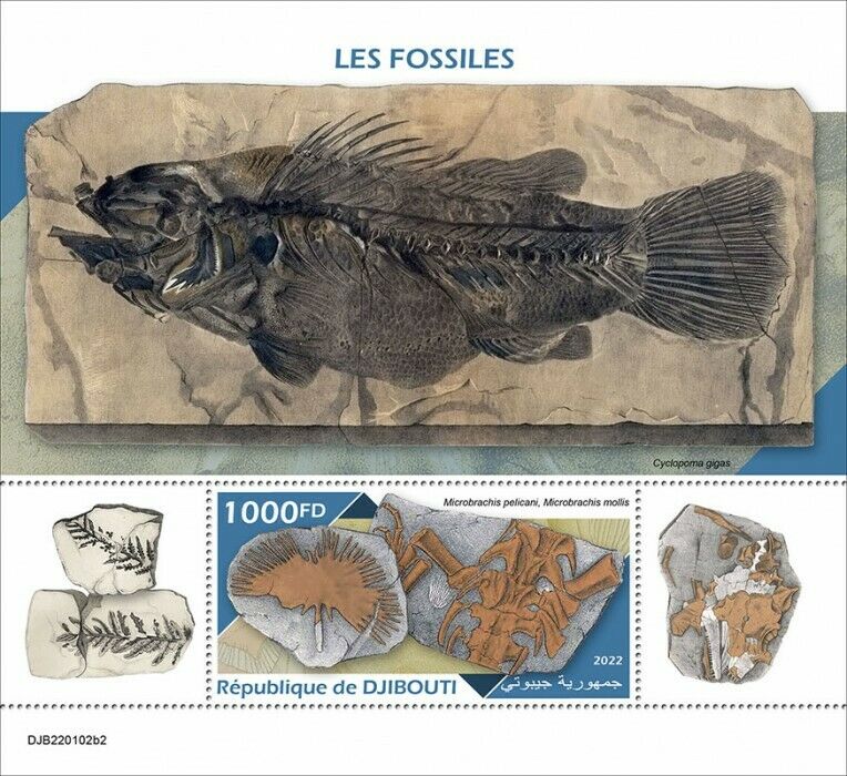 Djibouti 2022 MNH Fossils Stamps Prehistoric Animals Fish 1v S/S II