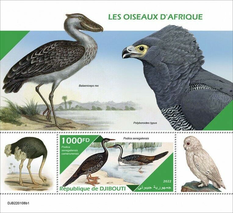 Djibouti 2022 MNH African Birds on Stamps African Finfoot 1v S/S I