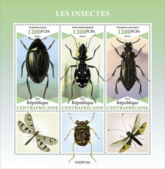 Central African Rep 2022 MNH Insects Stamps Beetles Hydrophilus Beetle 3v M/S